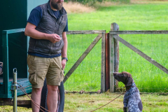 0fe09b9a-4e09-40a8-ba60-382c54902b1e