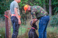 21d1aeaa-0478-4909-9909-7760a15ce3cd