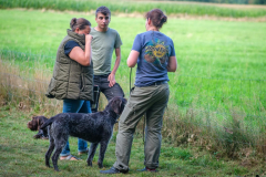 22fa9d92-8bfd-450a-9fc5-a8eba5ff6206