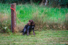 483c39b4-c933-4d78-8535-e6263403aa41