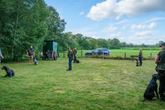 6728457c-1b08-4479-b01b-75fc96ca526a