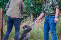 8df86a8d-5216-4d90-bd96-658b6446a4db