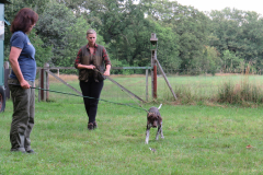 IMG_3613