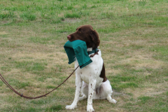 IMG-20220705-WA0018