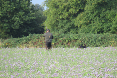 25-09-13-08-22-53-6233