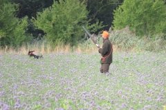 25-09-13-08-32-39-6244