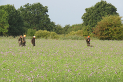 25-09-13-08-38-04-6245