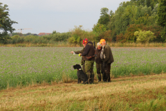 25-09-13-08-40-45-6252