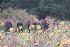 25-09-13-09-07-23-6261