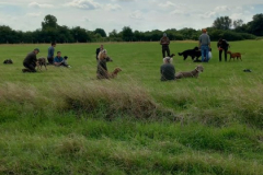 602ffbd9-5d01-4ea0-872d-1110bcac6df3