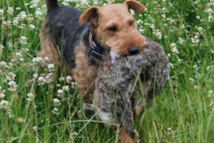 7db54174-461e-4925-b0e8-2ccefac47d56