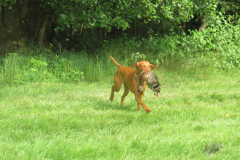 IMG_4023