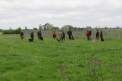 25-05-04-11-16-15-5391