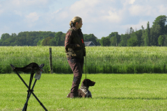 25-05-18-09-32-15-5436