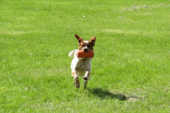 25-05-18-10-55-25-5490