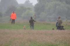 25-06-08-09-30-45-5590