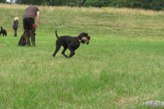 25-06-29-09-19-17-5692