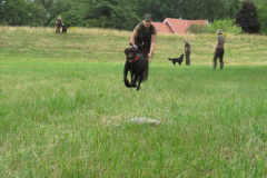 25-06-29-09-20-56-5694