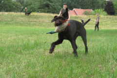 25-06-29-09-20-58-5695