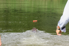 25-06-29-09-47-28-5711