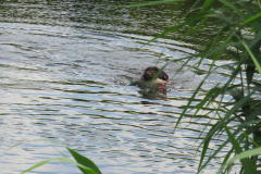 25-06-29-09-54-35-5715