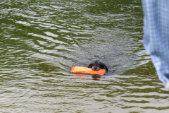 25-06-29-10-03-39-5725