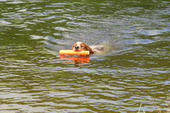 25-06-29-10-23-57-5748