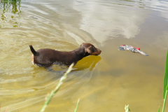 25-06-29-10-52-04-5784