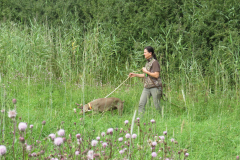 25-08-10-10-40-17-6046